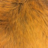 Мех искусственный для головных уборов (Беларусь)  в Красноярске